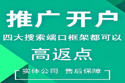 SEM竞价广告的智能优化：成功案例解读
